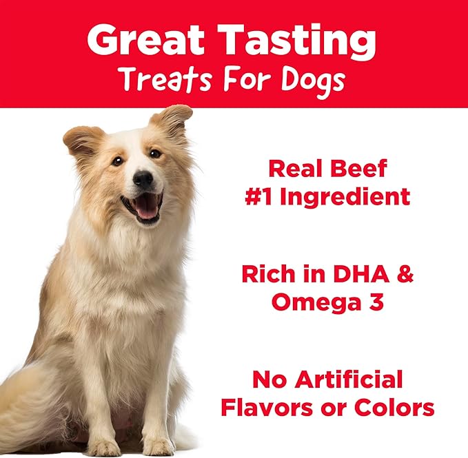 Country Kitchen Beef Soft Chew Dog Treats, Great Tasting, Made with Real Beef, Rich in DHA & Omega 3, 16 oz
