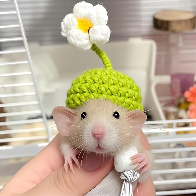 12 Pcs Hamster Hats Mini Party Hats for Small Animals, Cute Hand Knitted Tiny Hats for Snakes Lizards Bearded Dragon Guinea Pig Bunny Reptile Pets Clothes Holiday Party Costume Accessories(Fresh)