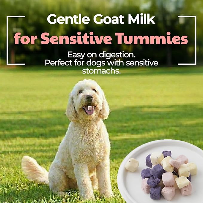 Freeze-Dried Goat Milk Dog Treats with Sweet Potato, Limited Ingredient Snack & Topper, Made in Korea, 1.76 oz (50g) (Strawberry)