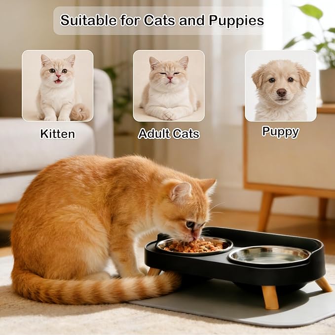 Elevated Cat Bowls with Food Mat, Splash Proof Anti Vomiting Raised Cat Food and Water Bowl Set, 2 Stainless Steel Dishes for Cats and Puppy, Pet Bowl for Indoor Cats Black