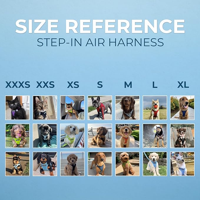 Best Pet Supplies Voyager Step-in Air All Weather Mesh Harness and Reflective Dog 5ft Leash Combo with Neoprene Handle, for Small, Medium and Large Breed Puppies - Set (Baby Blue), X-Large