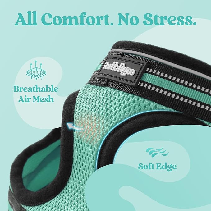 rabbitgoo Cat Harness and Leash Set for Walking Escape Proof, Adjustable Soft Kittens Vest with Reflective Strip for Cats, Comfortable Outdoor Vest,Green,M
