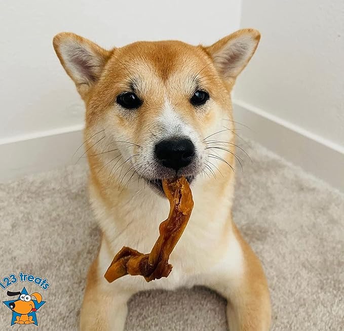 123 Treats Pig Ears Strips for Dogs - (16 Ounce) 100% Natural, Long Lasting & Highly Digestible Chew Treats, Single Ingredient, Slow Baked, Great for Puppy, Large & Medium Dogs