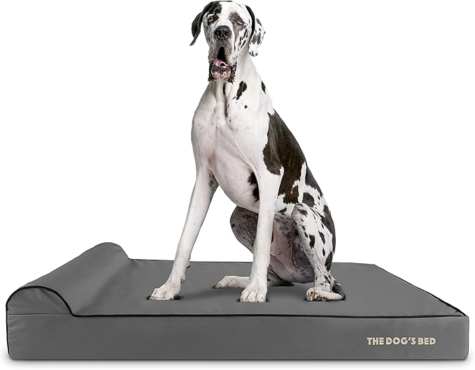 The Dog’s Bed Orthopedic Memory Foam Dog Bed with Headrest, Calming Surface – CertiPUR-Certified Foam, Oxford Fabric, Grey with Black Trim, XXL, 6-Inch