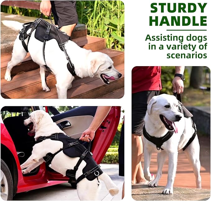 PUPTECK Dog Lift Harness for Medium Large Sized Dog, Rehabilitation Sling for Hind Leg Support, Multifunctional Mobility Assistance Harness for Old, Disabled, Joint Injuries, Paralysis Dogs