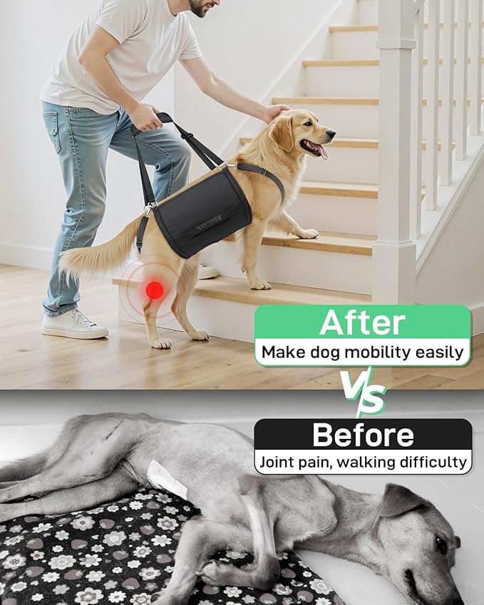 Dog Lift Harness with Adjustable Lifting Straps, Sling for 39-57 lbs Large Dogs Hind Legs Support, Rehabilitation Dog Carrier, for Wounded, Disabled and Joint Injuries for Senior Dogs
