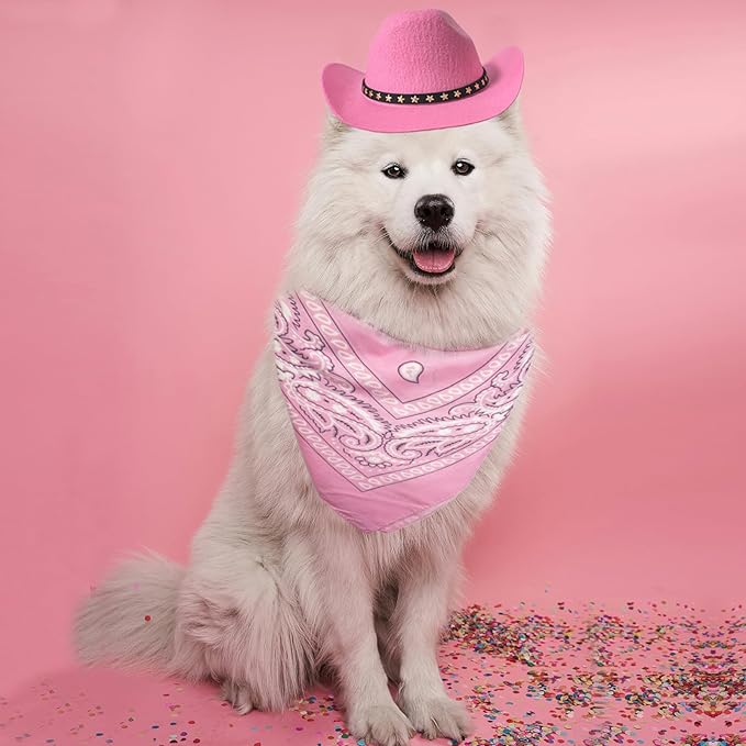 Dog and Cat Cowboy Hat With Bandana Scarf - Mini Pet Costume for Holiday, Halloween, Party Decoration (Pink, Large)
