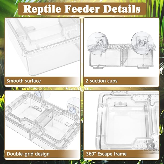 Hamiledyi Transparent Reptile Feeder with Suction Cup Separated Double Compartments Chameleon Bowl Gecko Live Worm Feeder Anti-Escape Reptile Supplies for Lizard Bearded Dragon (White, 2 Pcs)