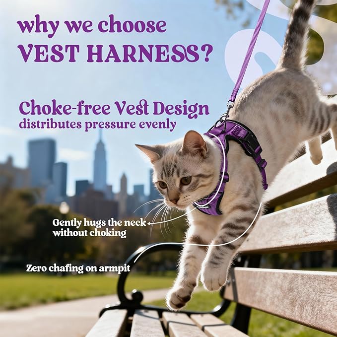 rabbitgoo Cat Harness and Leash for Walking, Escape Proof Soft Adjustable Vest Harnesses for Cats, Easy Control Breathable Reflective Strips Jacket, Purple, M