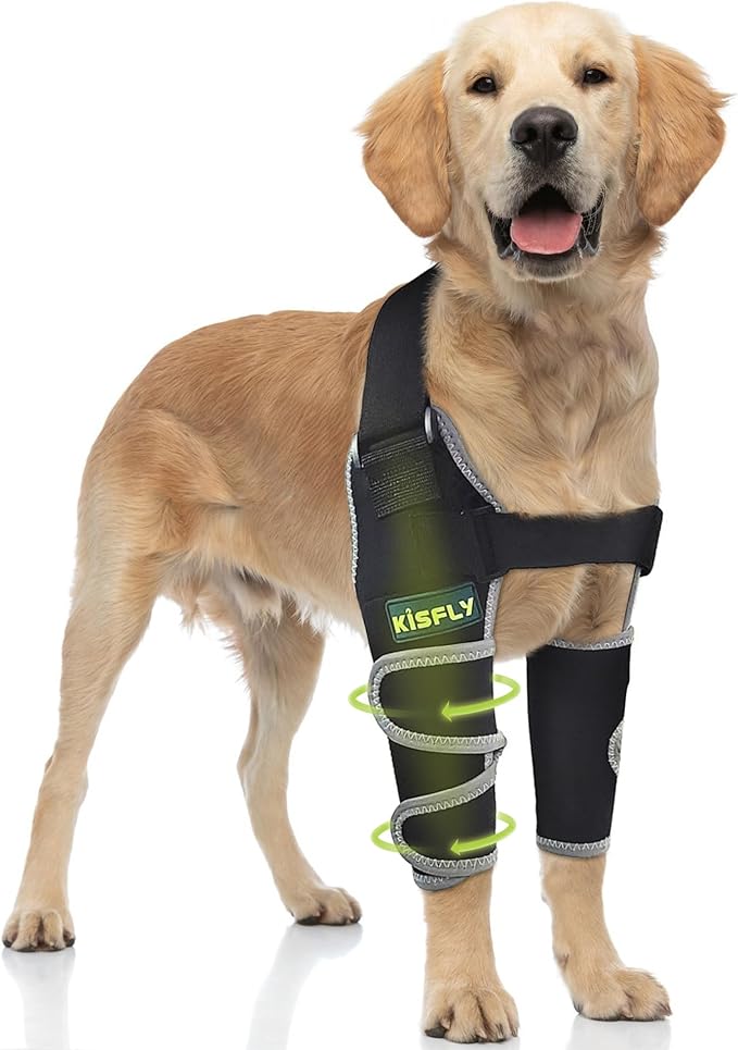 Dog Elbow Protector for Dogs, Provides Elbow & Shoulder Support, Helps with Osteoarthritis, Dysplasia & Calluses, Front Leg Brace with Reflective Design, Both Legs, Size XL