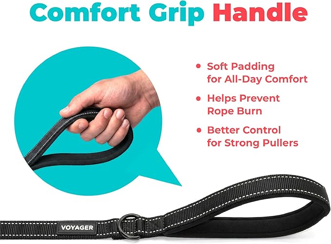 Best Pet Supplies Voyager Reflective Dog Leash or Collar with Neoprene Handle, for Small, Medium, and Large Breed Puppies, Cute and Heavy Duty for Walking, Running and Training - Black (Leash), M