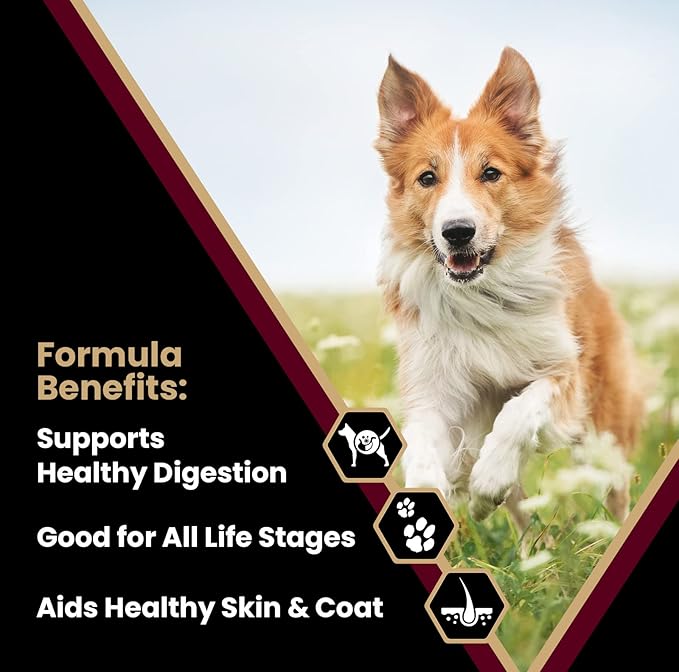 VICTOR Super Premium Dog Food – Lamb Meal & Brown Rice Formula - Gluten-Free Dry Dog Food for All Normally Active Dogs of All Life Stages – Ideal for Dogs with Meat Protein Allergies, 40 lb