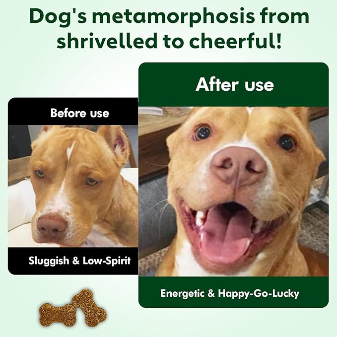 NMN Supplement for Dogs NAD+ Booster - Anti-Aging & Longevity Soft Chews for Senior Dogs with Resveratrol, CoQ10, Glucosamine & Omega-3-3-in-1 Cellular Energy, Joint & Skin Support