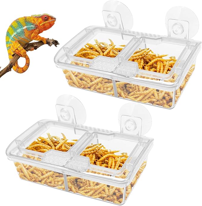 Hamiledyi Transparent Reptile Feeder with Suction Cup Separated Double Compartments Chameleon Bowl Gecko Live Worm Feeder Anti-Escape Reptile Supplies for Lizard Bearded Dragon (White, 2 Pcs)