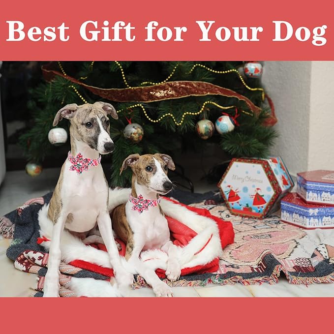 Unique style paws Cotton Dog Collar with Bow Christmas Puppy Collar with Red Green Plaid for Small Medium Large Boys Girls Dogs