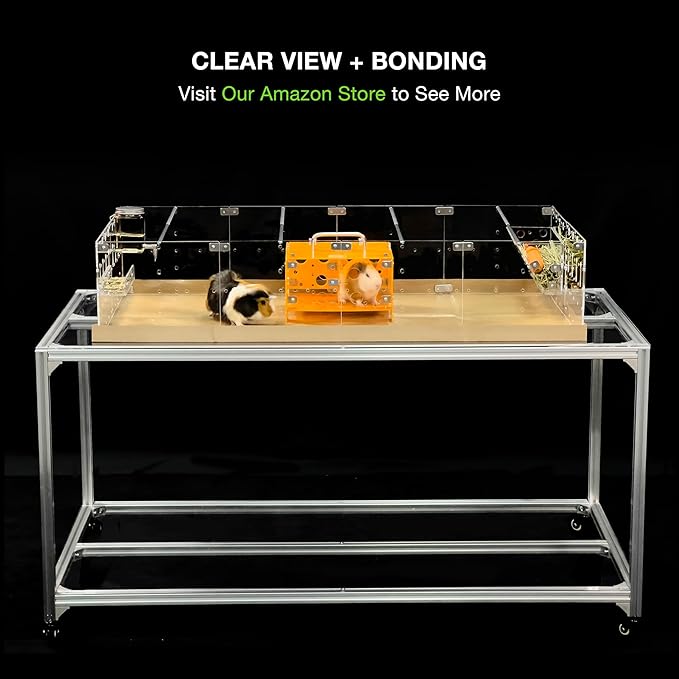 GuineaLoft™ Acrylic Cage (Model-A2) - Large 4x2ft Expandable C&C Cage for Guinea Pigs, Rabbits, Button Quails, Hedgehogs, Small Animals that Need Roaming Space - Visit Our Store to See More