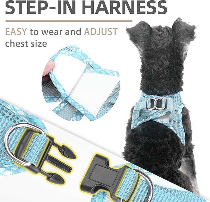 PUPTECK Dog Harness and Leash Set for Small Medium Dogs No Pull Step-in Soft Mesh Puppy Cat Vest Harnesses Reflective at Night, Sky Blue, S