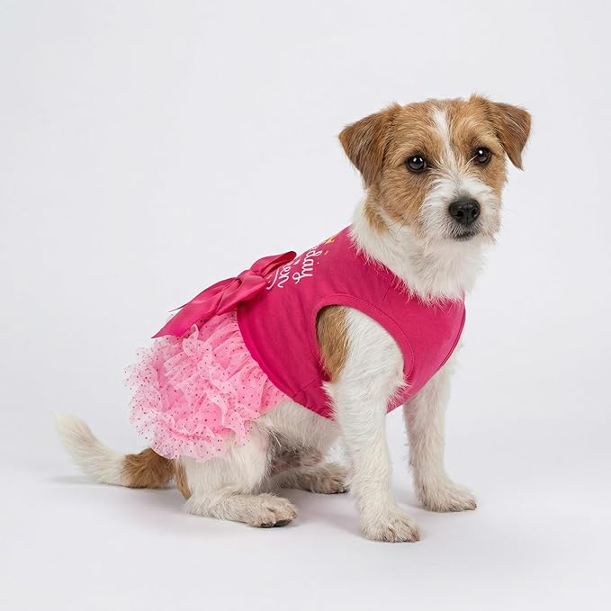 Fitwarm Barkday Queen Dog Tutu Dress, Birthday Clothes for Small Dogs Girl, Pet Outfit, Light Pink, Hot Pink, XXS