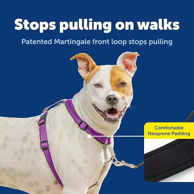 PetSafe 3 in 1 No-Pull Dog Harness for Medium Dogs- Walk, Train or Travel - Helps Pets from Pulling on Walks - Seatbelt Loop Doubles as Quick Access Handle - Reflective - Medium, Plum
