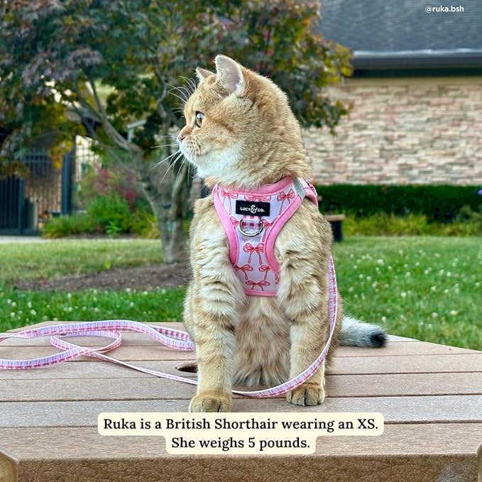 Lucy & Co. Take a Bow Step-in Cat Harness & Leash Bundle – Reflective, Breathable & Adjustable Harness for Cats, Kittens & Small Dogs, Lightweight & Secure and Dual Leash Clips – X-Small