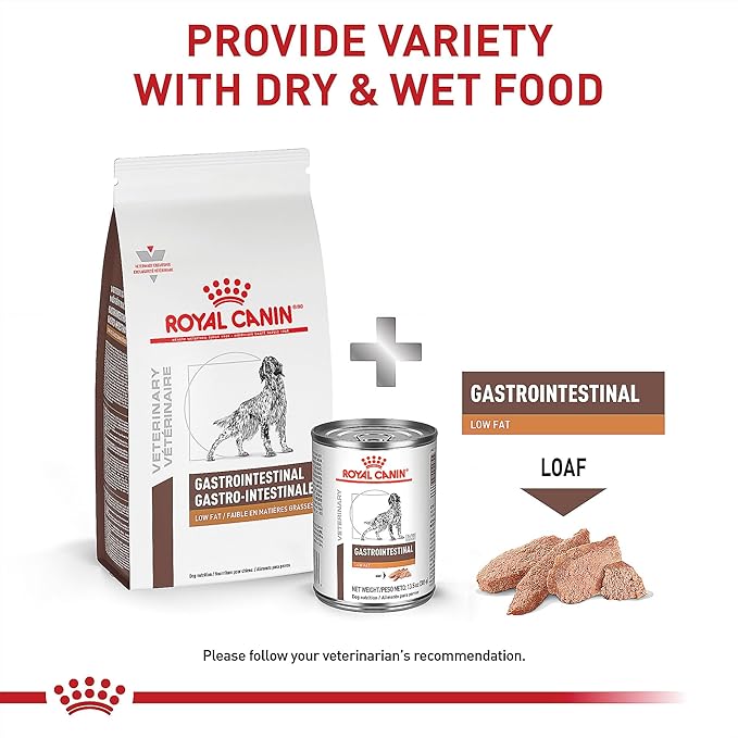 Royal Canin Veterinary Diet Canine Gastrointestinal LF Low Fat - 6.6lb