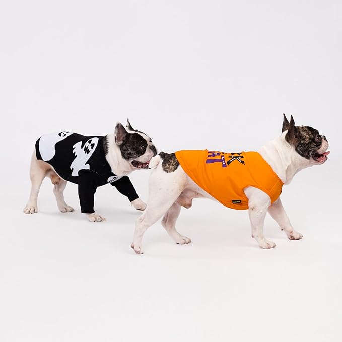 Fitwarm Halloween Ghost Dog Sweater, Funny Costumes for Dogs, Pet Apparel, Black, White, Large
