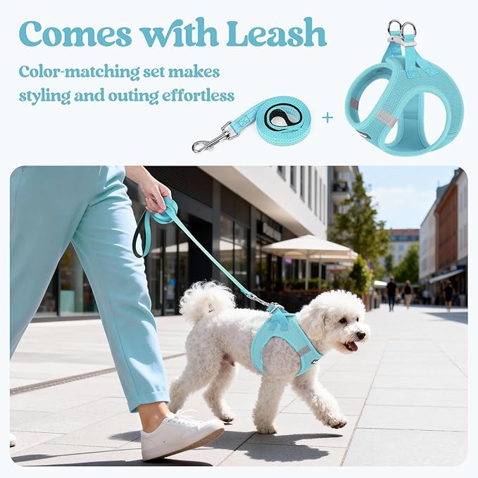 rabbitgoo Dog Harness Medium Sized and Leash Set, Step in Soft Light Puppy Vest, Breathable Mesh Pet Harness, Reflective for Safe Easy Walking, Mint Blue XXL