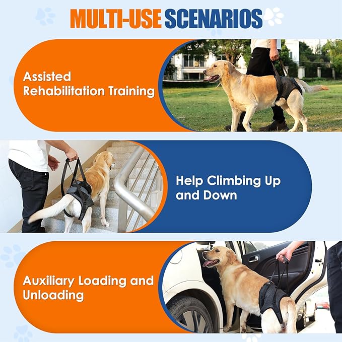 SlowTon Dog Lift Harness - Adjustable Dog Sling for Medium Large Dogs, Hind Leg Support to Help Rehabilitate, Soft Padded Dog Support Harness for Elderly, Injured, Arthritic, Disabled Dogs, S