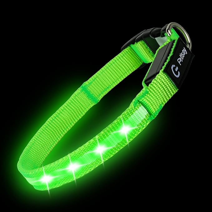 LED Dog Collar for XSmall Dogs & Toy Breeds – USB-C Rechargeable Light Up Dog Collar, Fully Waterproof Adjustable Glow Collar for Night Walking & Safety(Green,XS)