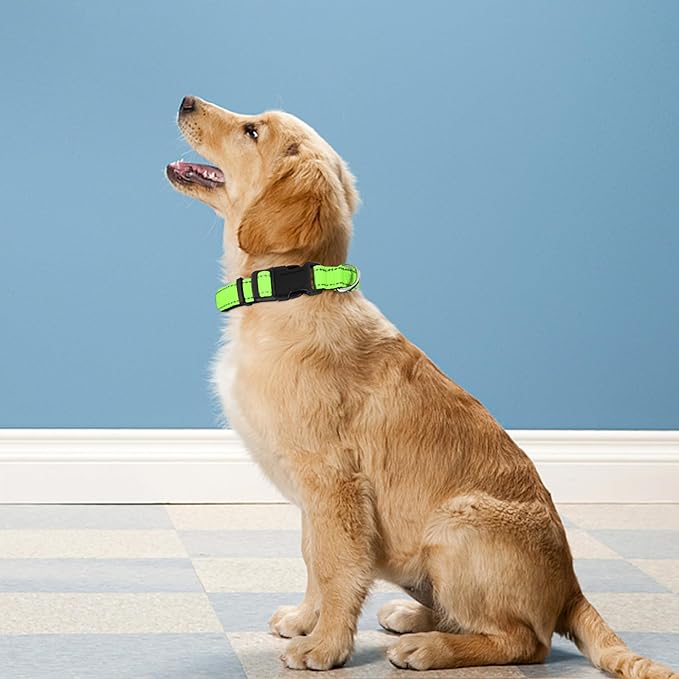 Reflective Dog Collar, Adjustable Soft Neoprene Padded Nylon Pet Collars with Buckle for Extra Large Dogs, Green,XL