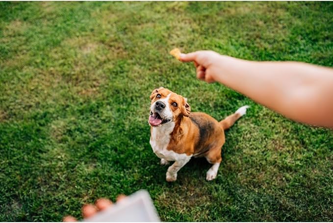 Chip's Naturals Cheesy Flavored Doggie Chicken Chips - Small 4 oz Natural High Protein Low Calorie Dog Treats, Grain Free Gluten Free USDA Inspected & Approved Chicken Treat for Dogs, Pet Supplies