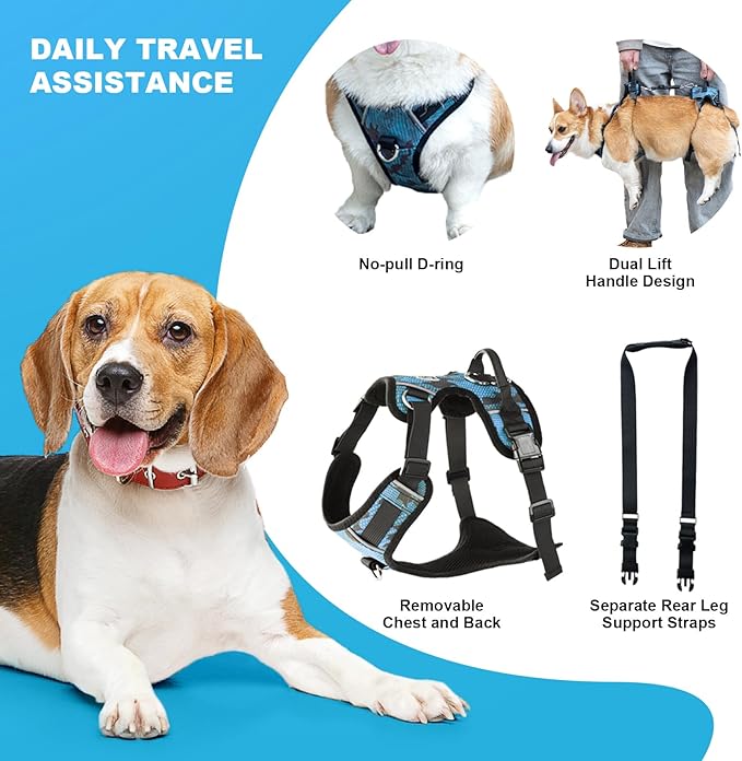 Dog Lift Harness, Dog Lift Sling Carrier with Handle & Shoulder Sling, Support Harness for Rear Back Legs Helps,Disabled,Arthritis,Joint Injuries,Paralysis Up Stairs（Blue,Medium）