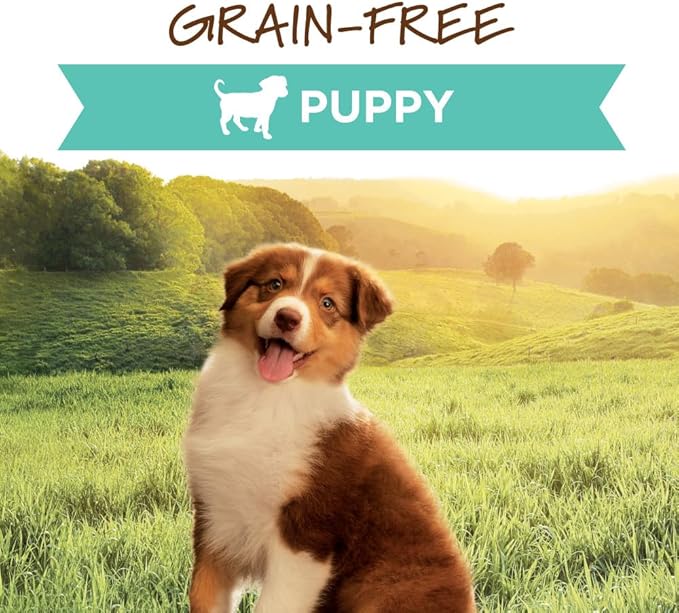 Instinct Original Puppy, Wet Dog Food, Grain Free Recipe - Real Chicken, 13.2 Ounce (Pack of 6)