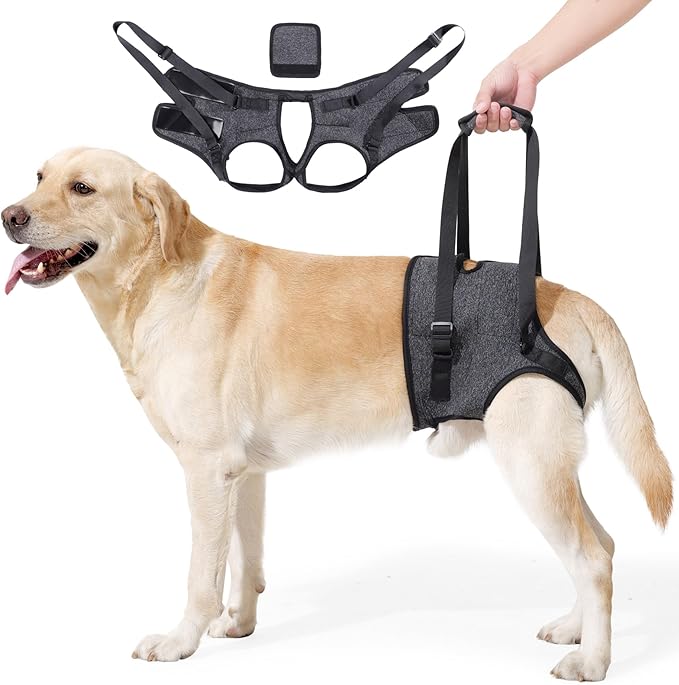 JOHNBOLIN Dog Lift Harness, Dog Sling with Padded, Hind Leg Support to Help Rehabilitate, Helps Senior, Injured, Disabled and After ACL Surgery Dogs (Dark Gray, Large)