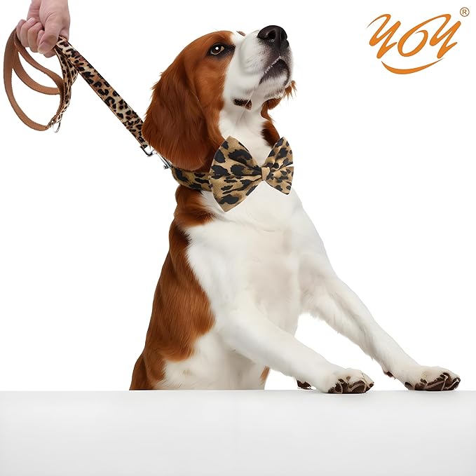 YOY Soft Comfortable Adjustable Leopard Print Pet Collar with Bowtie, Cute Cat Collar and Leash Set for Small Dogs Cats Kitten, Puppy Kitty Grooming Doggy Accessories, Length 8"-13"