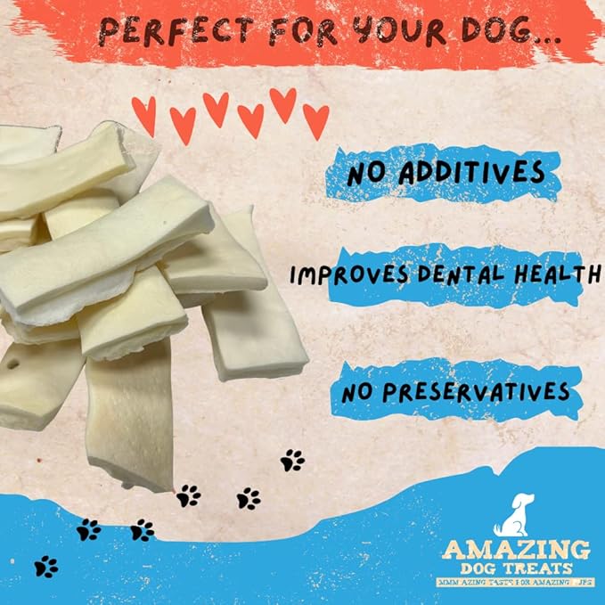Amazing Dog Treats - Beef Cheek Strips Premium Dog Chew (10 Inch - 10 Pack) - NO Odor - Thick Cut - Rawhide Alternative - Beef Cheek Slice Chip Sticks - No Dyes, Chemicals, or Preservatives