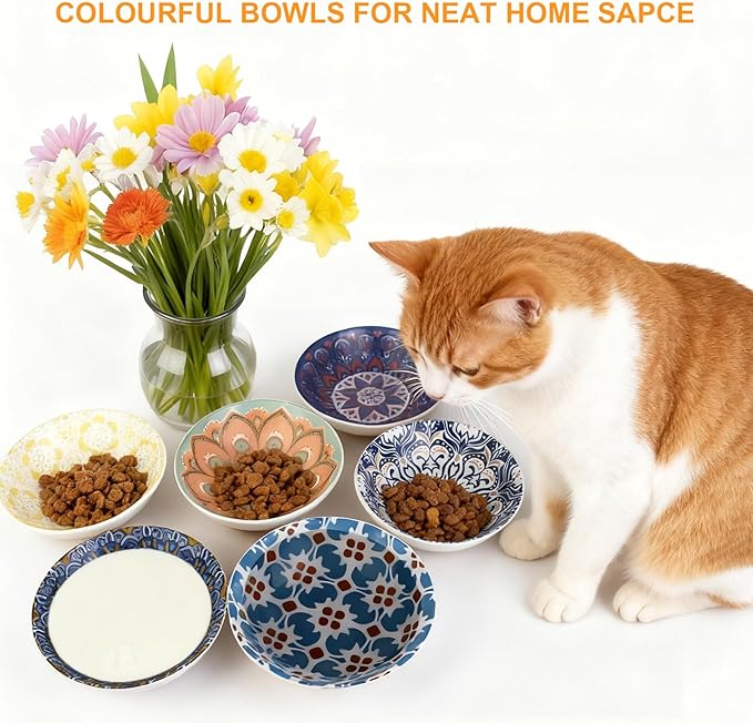 HAPPY KIT Ceramic Cat Food Bowl Set of 2, 5.75 inch Wide Shallow Cat Bowls/Dishes for Indoor, with Non-Slip Silicone Bottom, Whisker Friendly