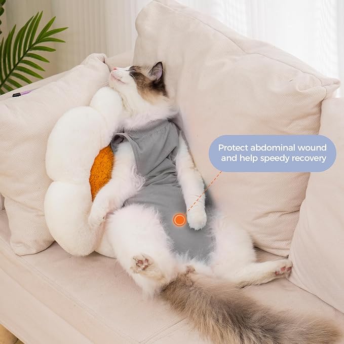 Avont Cat Recovery Suit Female Kitten After Spay Surgery, Breathable Modal Cotton Cat Onesie for Wound & Skin Disease Care, Machine Washable -Grey(M)