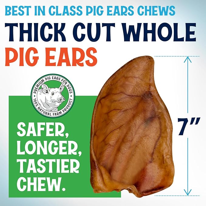 Whole Pig Ears for Dogs - 15 Pack Long Lasting Dental Chews – One Ingredient Delicious All Natural Flavor Treats – Easy to Digest for Large Pets - Great for Teeth and Gums