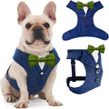AVERYDAY Dog Tuxedo for Wedding Outfit, Dog Suit and Tie Costumes for Birthday, Halloween, Cosplay, Christmas Party, Pet Formal Wear with Bowtie, Tux for Medium Large Dogs, Bulldog, Labrador, Husky