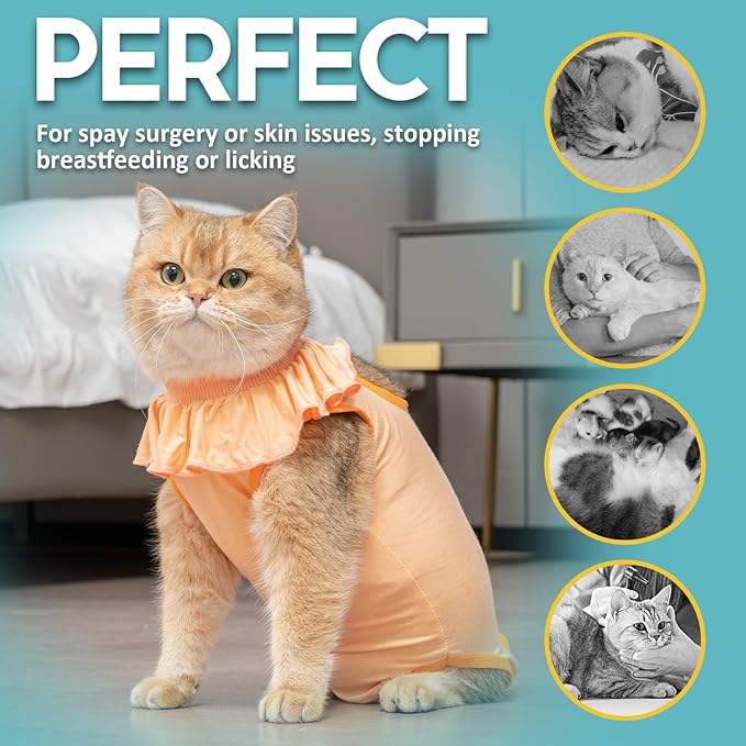 Avont Cat Recovery Suit - Kitten Onesie for Cats After Surgery, Cone of Shame Alternative Surgical Spay Suit with Ruffles for Female Cat, Post-Surgery or Skin Diseases Protection -Apricot (L)