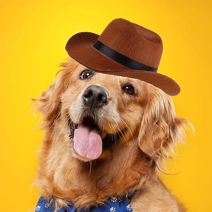 Pet Dog Cowboy Hat with Adjustable Drawstring,Retro Triangle Scarf and Cosplay Dog Hat,Sun Visor Outdoor Hat,Dog Party Hat for Small Medium Large Dogs,Holiday Decoration Cap Perfect for Dog Cat