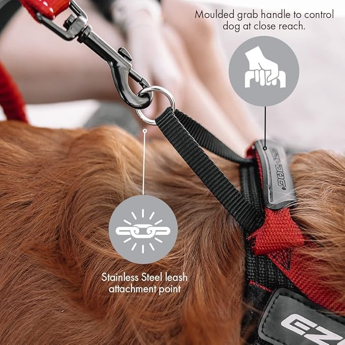 EzyDog Express Dog Harness - Adjustable Dog Harness for Large, Medium, and Small Dogs with Padded Ergonomic Anti-Chafing Design, Grip Handle, & Easy Side Buckle (Gray, XXL)