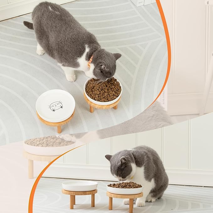 Lusifaco Shallow Elevated Cat Bowls,5.9 Inch Wide Raised Ceramic Cat Dishes with Bamboo Stand, Whisker Friendly Pet Water or Food Plates Feeding Station for Indoor Cats, Kitten(Green,Set of 1)