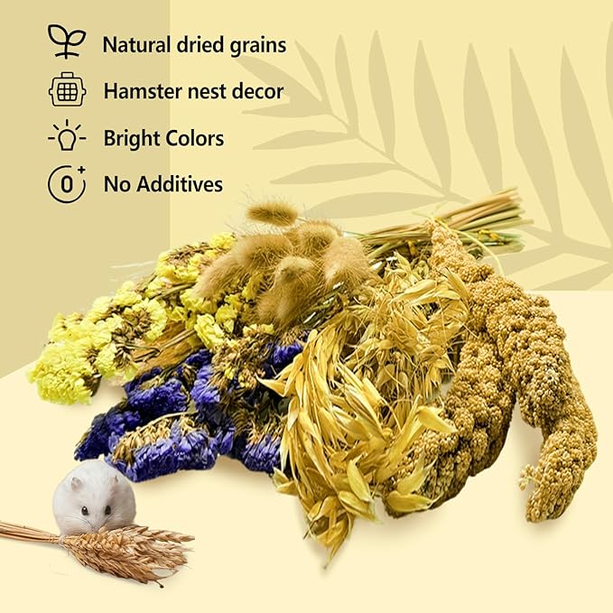 Natural Hamster Flower & Herb Habitat Deocr, Edible Hamster Sprays Flowers Bedding Mate, Hamsters Cage Enrichment Decoration Accessories for Gerbil Dwarf Syrian Hamsters Guinea Pig Mice