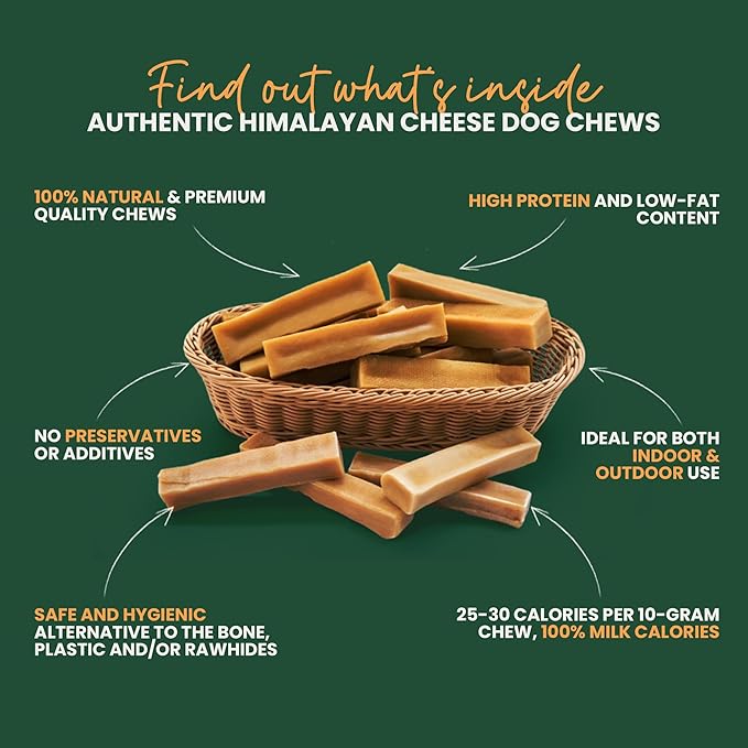 KATHMANDU'S 100% Natural Himalayan Yak Cheese Chews - All Natural and Protein-Rich Nutrition Dog Treats, Long Lasting Chews for Aggressive Chewers, Odor Free Yak Chew | Large/X Large (Pack of 8)