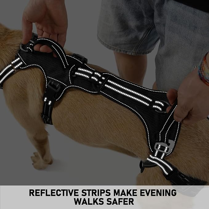 COODEO Mobility Dog Lift Harness, Support Sling & Walking Sling for Dogs, Pet Rear Leg Rehabilitation Support Vest, Dog Carrier for Senior Dogs with Joint Injuries, Arthritis, Up Stair (Black, S)