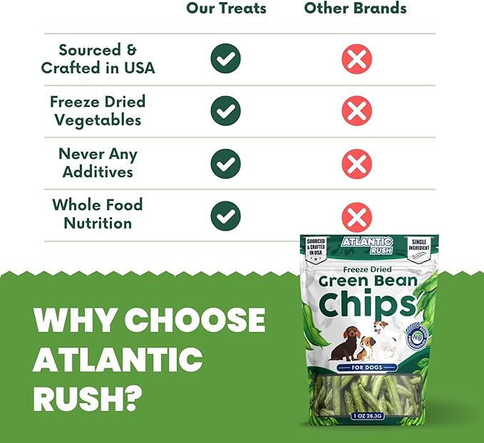 Atlantic Rush Freeze Dried Green Bean Chips for Dogs- 1oz Resealable Bag of Dried, Green Crispy Beans- Single Ingredient, No Salt or Canola Oil- Crispy, Shelf Stable - Made in USA (1 oz Bag)