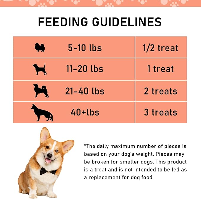 Dog Treats Premium Chicken Breast Jerky - 1.5 LB Value Pack, 100% Chicken Breast, Human Grade, High Protein, Healthy Natural Dog Chews, Training Reward, Made for North America