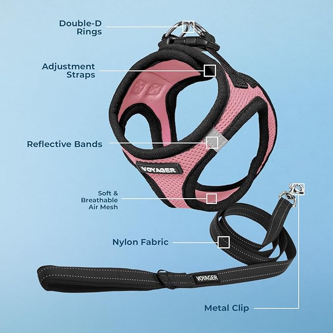 Best Pet Supplies Voyager Step-in Air All Weather Mesh Harness and Reflective Dog 5ft Leash Combo with Neoprene Handle, for Small, Medium and Large Breed Puppies - Set (Pink Base), Medium